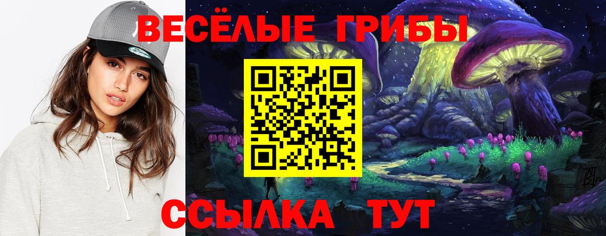 Галлюциногенные грибы MAGIC MUSHROOMS Новодвинск