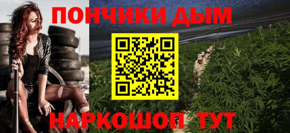 Канабис сатива Новодвинск